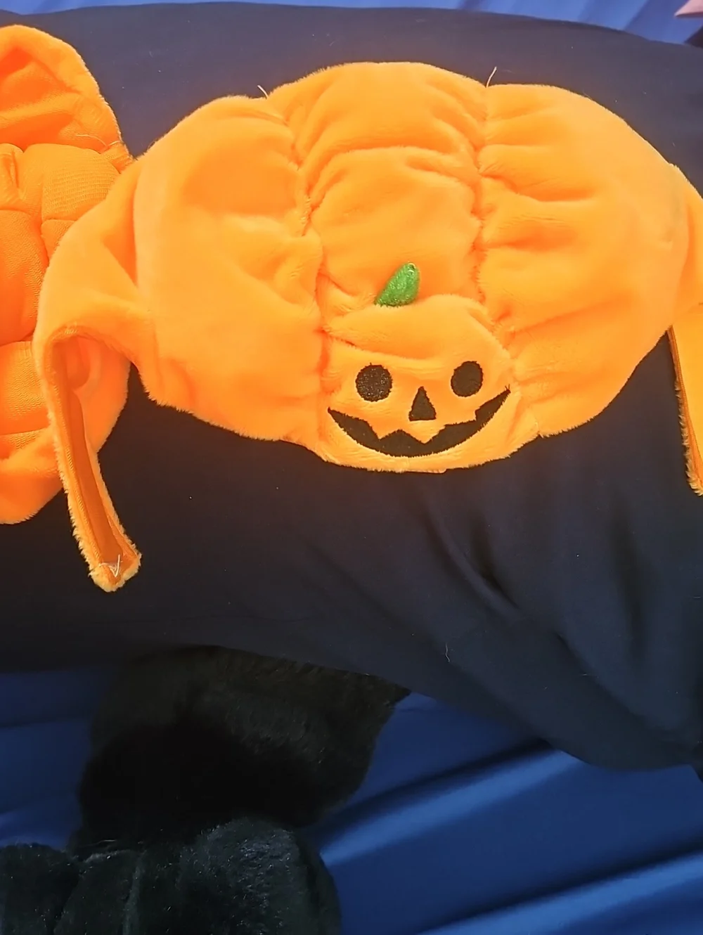 Pumpkin Plush Dog Costume Hat -Set Of 2
